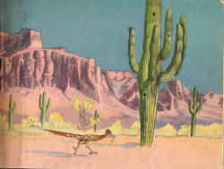 nemfrog:  Sonora Desert landscape. Desert