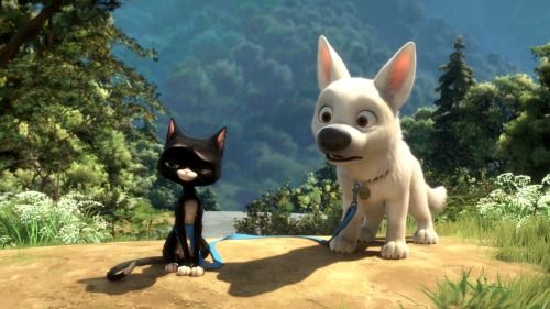 Movie Synopsis &isney Blot