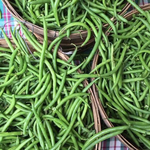 The elegant beauty of a green bean, each individually hand picked
