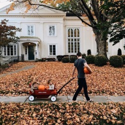 White-Pumpkin: Pumpkin Carving