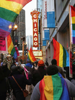 storyofagayboy:  Congratulations Illinois for becoming the 15th state to legalize marriage equality. 15 down, 35 to go! 