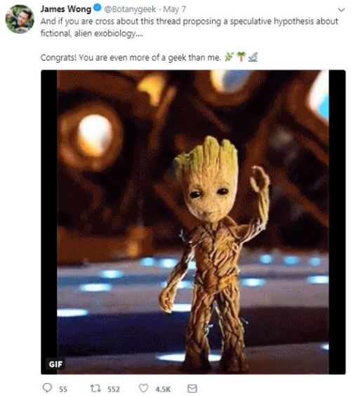 sherlohomora:Biology of Baby Groot, as tweeted by an Actual Botanist