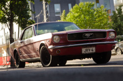 carspottinghelsinki:  Ford Mustang“Recruited