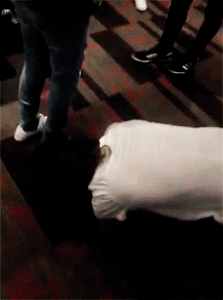 louis-william: +