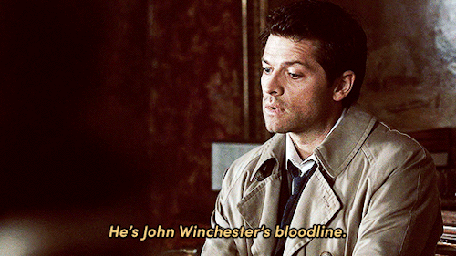 bebecas:5 . 1 8   ➼  P O I N T   O F   N O  &