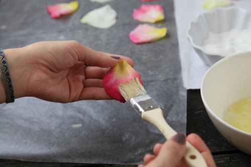 XXX thecakebar:  Candied Rose Petals and Ice photo