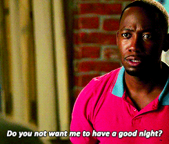 you know i love you donna
