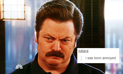 XXX leslie-knopes:  parks and rec + text posts photo