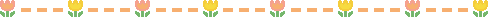 🌼Squoxle's Enhypen Masterlist