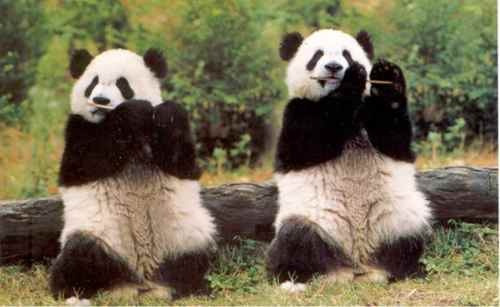 asuuzu:  Aw. auf We Heart It. http://weheartit.com/entry/93246626?utm_campaign=share&amp;utm_medium=image_share&amp;utm_source=tumblr