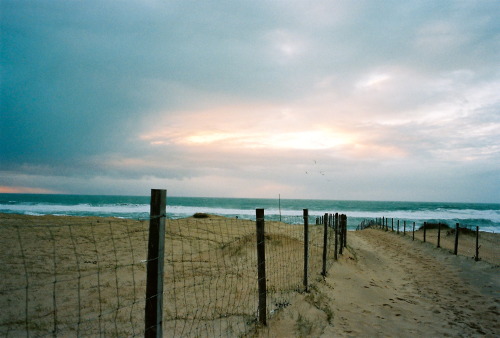 “ BACK TO THE ROOTS
Hossegor La graviere / Les glandes pineales / Douce France
”