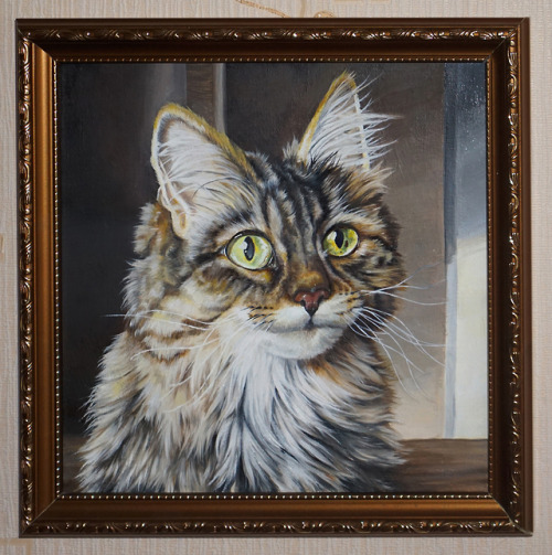  Portrait of my cat Kitty (died May 2019). Oil on Canvas, 30x30. 