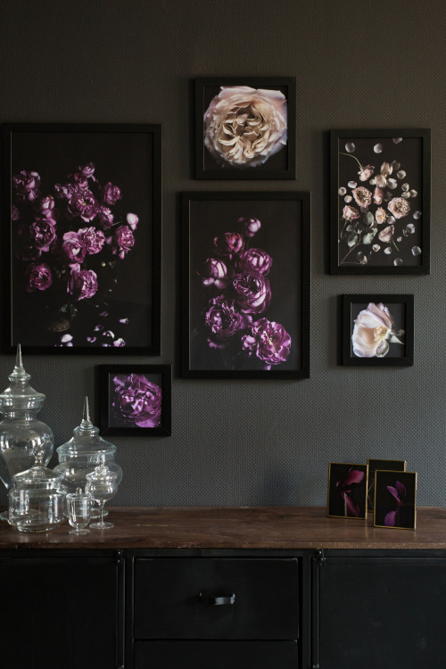 Our first floral prints are up on the wall.©Botanic Art