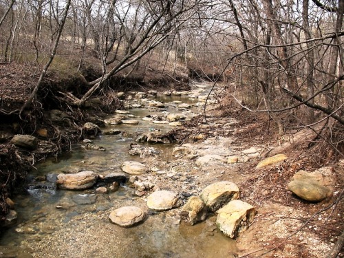 arockmaniac:Giant Septarian Nodules in situ.  Denton County, Texas.  It’s hard to se