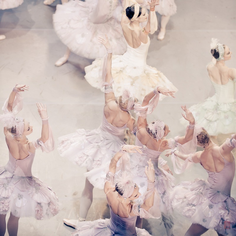 marthajefferson:lasylphidedubolchoi:Mikhailovsky’s Le CorsairePhotos by Nikolai