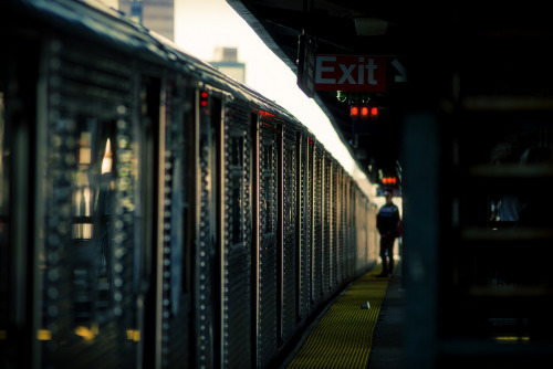 Bed-Stuy, Brooklyn, NYC◕ alec mcclure  ◔ photoblog