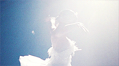 bewitchthemind:“I had the craziest dream last night. I was dancing the white swan.” - Black Swan, 20