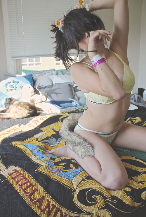 untamed-kitten:  with the sun coming in and wearing the color yellow, makes me a happy kitty. (with my actually kitty taking a cat nap in the background)spoil me      I       ask me how to buy my snapchat