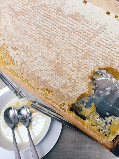 remainsimple:Fresh honeycomb