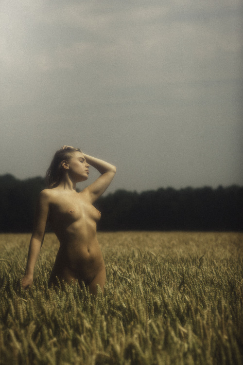 commonsnudes - The Sun Makes Me - Fine Nude in Wheat by...