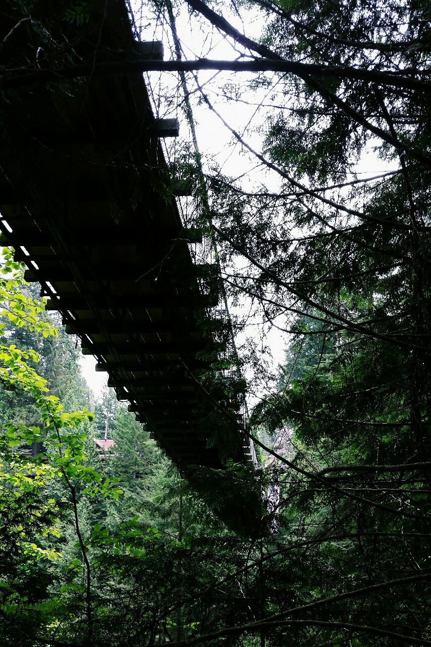 open-minded-teen:  Capilano Suspension Bridge Park, North Vancouver, British Columbia,