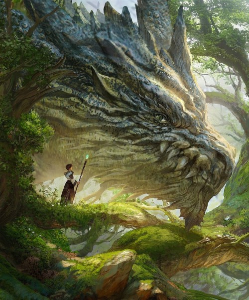 thecollectibles: Dragon Forest by Won Jun Tae 