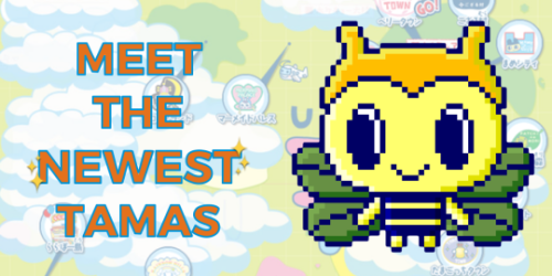 2025人気の — Tama-Palace Meet Yotsubatchi Tamas: Newest the その他
