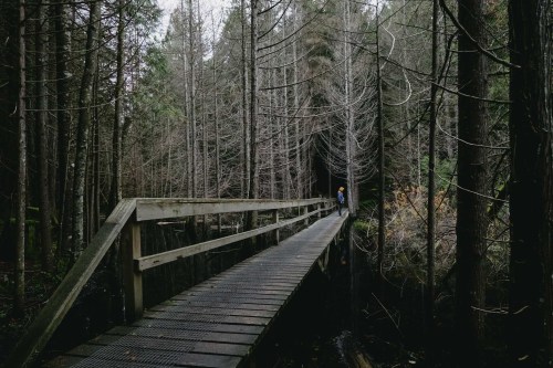 emanuelsmedbol:  Rainy weekend at the cabin 