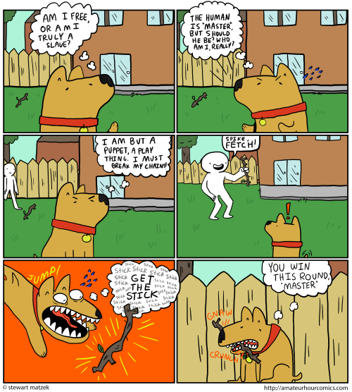 amateurhourcomics:  dog philosophy
