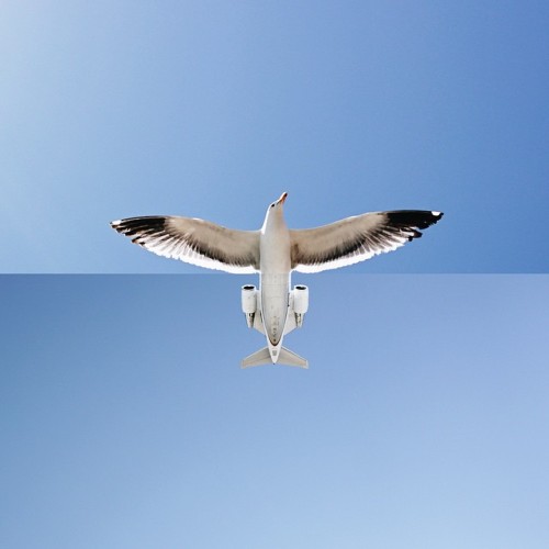tastefullyoffensive:  Photos Combined by Stephen McMennamy (more)Previously: Perfectly Timed Dog Photos