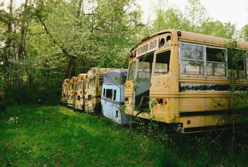 school bus