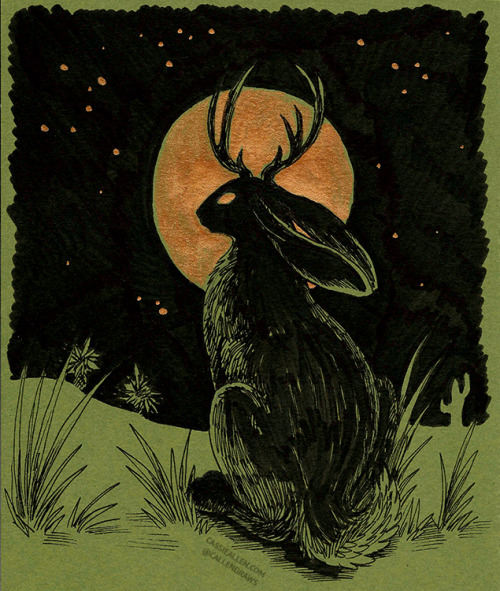 callendraws:  jackalope Also available on Instagram