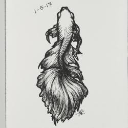 Alexaellstromartpage:  Day 5/365Betta Splendenspen &Amp;Amp; Ink- Alexa Ellstrom