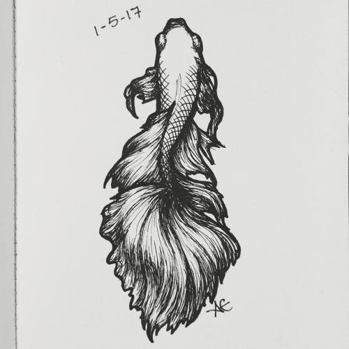 XXX alexaellstromartpage:  Day 5/365Betta SplendensPen photo