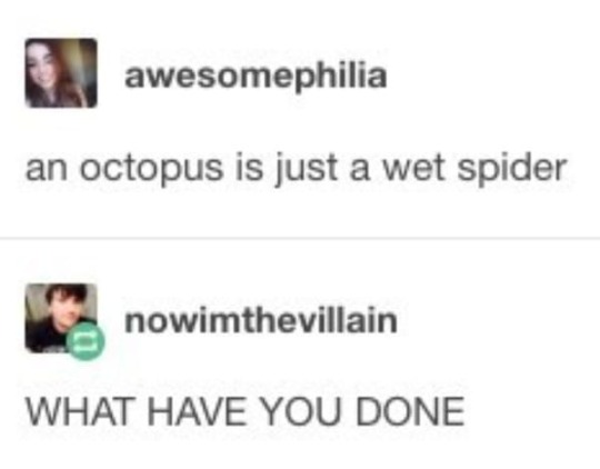 octopus-wet-spider.jpg #memes from the crypt #auto-queue