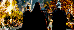 goldblums:  An Unexpected Journey &amp; The Desolation of Smaug + visually beautiful