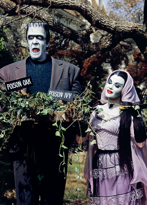 vintagegal:The Munsters gardening, 1960s