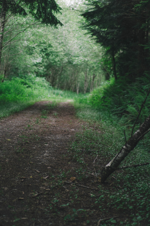 Spring Hikes