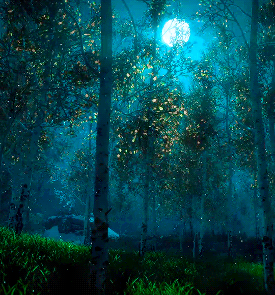 Meet me in that wonderful dream….