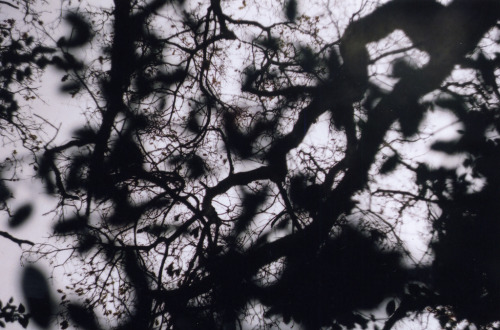 Terry Magson Analogue Photographer