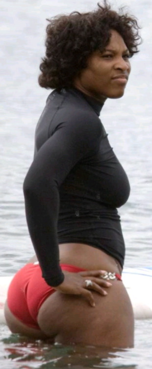 phattygirls:  SERENA GOT THAT NBA = NATURAL BIG ASS!
