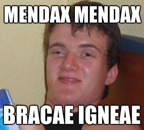 Mendax mendaxBracae igneaeLiar liarFire pants