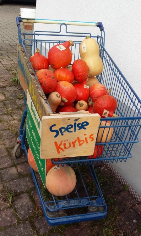 des8pudels8kern