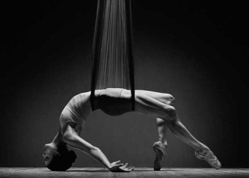 Body network 1 2010 / 2012 by Michael Papendieck