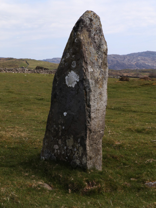 Carreg (Fonlief Hir Stone B) Standing Stone, nr. Harlech, North Wales, 21.4.18.A distinctive Bronze 