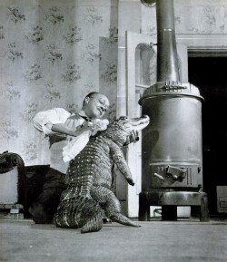 Gatie the alligator, 1948. 1 - After a bath, Gatie the Chicago Alligator braces himself on his hind legs as his master rubs his scaly skin dry beside the living room stove.