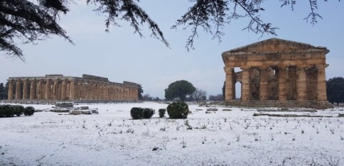 bucciluigi:Paestum 