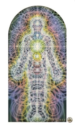 fuckyeahalexgrey:  Alex Grey - Progress of