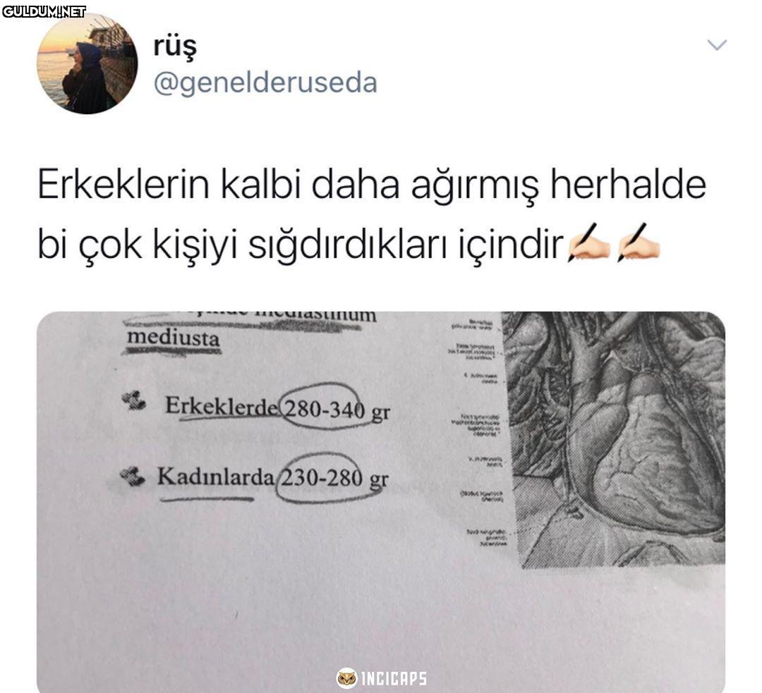 Bilemedin sevdamız daha...