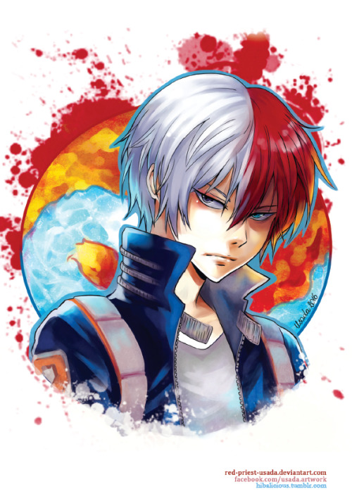hibalicious:  I’m a huge fan of ‘Boku no Hero Academia’ and my favourite character